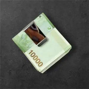 WL 실버 메탈 머니클립 지폐클립 지폐보관 WFLMQ6N