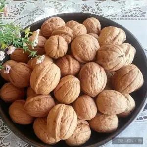 2025년 영동호두 국내산 알호두 햇 호두 토종호두 호두망치포함 1kg 선물용박스