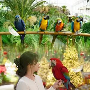 [경기] 가평 베고니아 새정원 입장권(겨울방학특별가)/동물원/테마파크/가평여행/가족나들이/아이와가볼만한곳/아이와함께