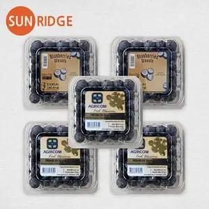 직수입 고당도 칠레 생 블루베리 125g 5팩 8팩