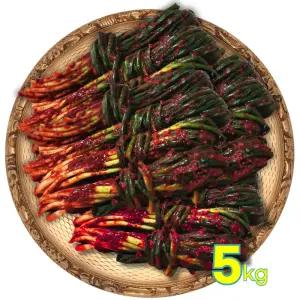해드림 프리미엄 쪽파김치 5kg