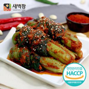 새벽팜 갓김치 5kg 국내산 100% 전라도김치 참매실 새벽김치