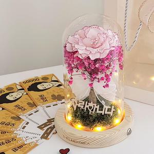 핑클 카네이션 유리돔 무드등 어버이날 부모님 선물