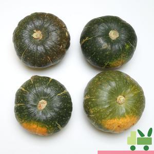 뉴질랜드 단호박 5Kg (4수)