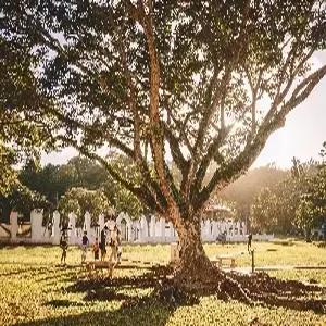 [저녁출발] 괌 5일#리가로얄 #오션뷰룸 #NEW시내관광