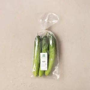 백오이 500g (3입)