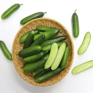 농산물마루 국내산 미니오이 스낵오이 꼬마오이