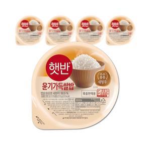 햇반 윤기가득쌀밥 210g 24개