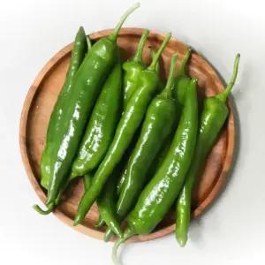 농산물마루 오이고추 오이맛 아삭이 아삭고추