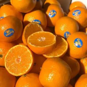 미국산 만다린 3kg 고당도 수입 오렌지 만다린 귤 큐티스 썬키스트 할로스