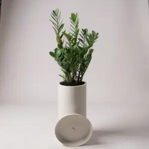 윤스가든 전국 당일배송 개업화분 사무실이전 병원개원 식당 카페 개업집 오픈 꽃배달