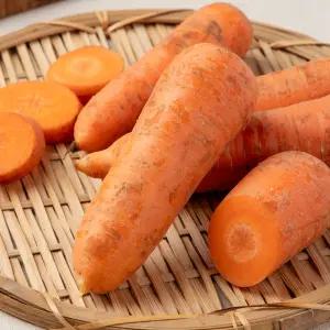 제주 구좌 햇당근 5kg 흙당근 상품