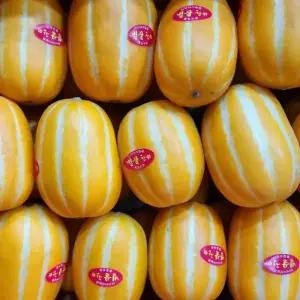 고당도 벌꿀참외 5kg 한박스