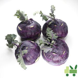 콜라비 15Kg (특)