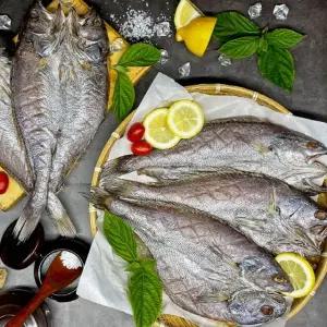 특대왕 반건조 민어 5미