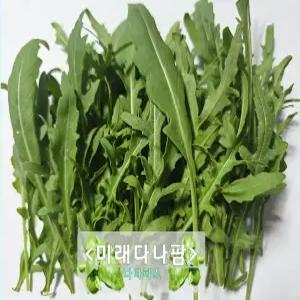 [미래다나팜] 와일드루꼴라 1kg (국내생산 당일수확)