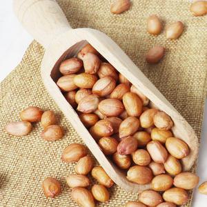 서래푸드 미국산 생땅콩 1kg