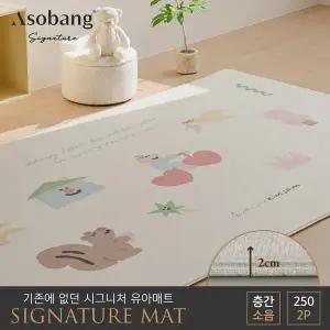 [아소방] 2P 시그니처 유아 놀이방매트 멜로우라이드by김잼 250 (250x150x2cm)