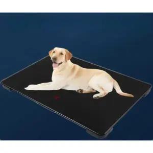 애완견 몸무게 측정기 대형견 전자 반려견 동물병원 체중계 병원 애견샵