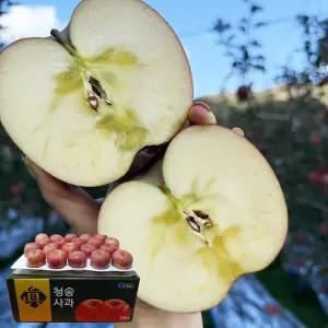 산지발송 청송 꿀 햇 사과 10KG 대과