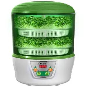 콩나물 재배기 수경재배기 전자동 새싹 무순 재배 기르는