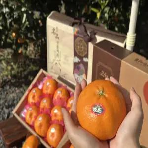 돌담프룻 제주 프리미엄 달달한 레드향 가정용 중소과 4.5kg