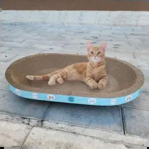 펫츠몬 고양이 특대형 B골 스크래쳐 MAX 타원형65cm