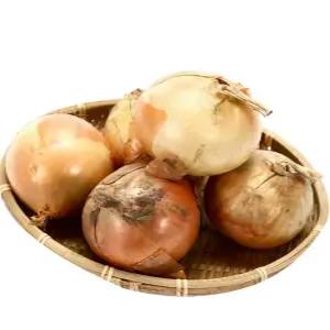 국내산 창녕 양파 장아찌용 5kg/10kg/15kg