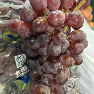 수입산 거봉 레드글로브 적포도 2kg