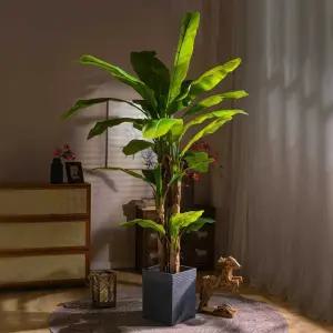 대형조화 바나나 나무 실내 큰 키 휴양지 조경 식물