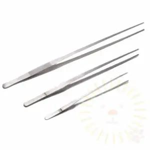 38cm 핀셋 수초 어항 키우기