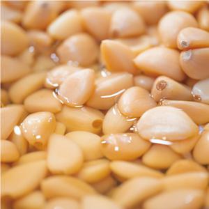 해품 동보 깐마늘 3kg, 4kg 대용량 알마늘절임