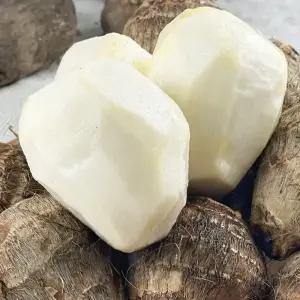 국산 흙 토란 2kg 2025년 햇 수확 중/소 혼합크기 곡성