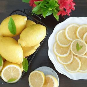 정품팬시 씨없는 레몬 140입 한박스(중과120g내외)