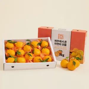 제주 만감류 한라봉 천혜향 레드향 특상품 3kg