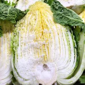 [인정식탁]강원도 고랭지 절임배추 10kg(3~5포기내외)