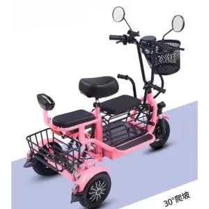 삼륜 전기 자전거 배달 고성능 애견 용