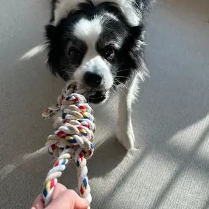 강아지 이중매듭 로프 터그놀이 대형견 장난감