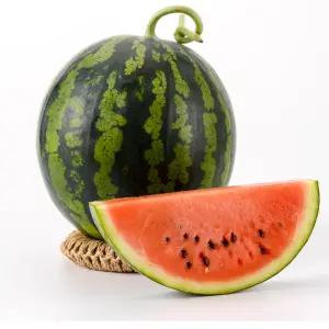 겨울 하우스 수박 당도보장 꿀수박