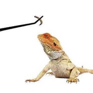 급식핀셋 어항 오물제거 긴집게미니 사각 조리용 도구 주방 실리콘 튀김