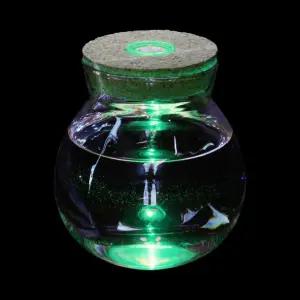 LED 마리모병 (12x13cm) JT91수경식물키우기 반려용품 테라리움 모어항 수조 LED유리병 공병 재배