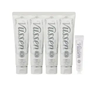 뷰센 H 프리미엄치약 120g 4개+40g