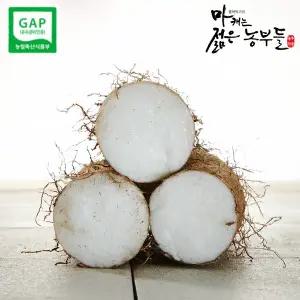 [마캐는젊은농부들] 마 안동마 장마 알뜰마 2kg 3kg 참마 햇마