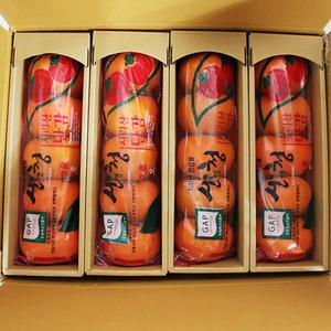 GAP인증 경남 산청 호랑이 줄단감 저탄소 줄 단감 5kg