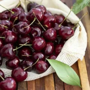 새콤달콤 칠레 겨울 생체리 5kg(26-28mm사이즈)_아이스박스포장