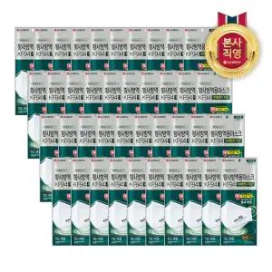 에어워셔 플러스 황사방역용마스크 KF94) 대형 1입 x 40개