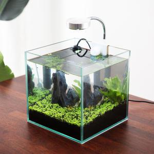 어항세트 소형 구피 베타 키우기 미니 수족관 수조 디아망 20큐브