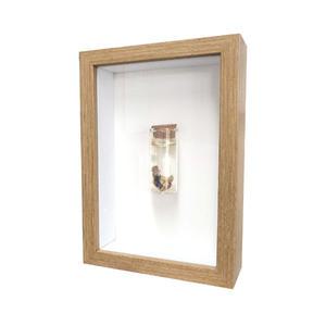 탯줄보관 DIY+액자 세트/아기 탯줄액자 도장 탯줄보존 영남상사