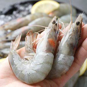 흰다리 새우 대하 1kg 약32미 내외