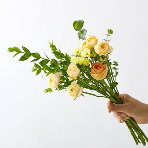 그린테라피 생화 랜덤 꽃다발 정기구독꽃 보존제 드림